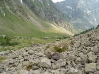 Youri - Ecrins 2005 131